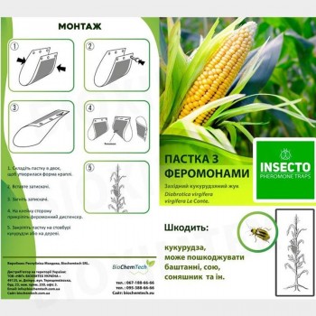 Кукурузный жук феромонная ловушка (БИОхимтех)