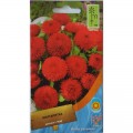 Маргаритка помпоновидная красная (red) семян (Moravoseed)