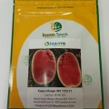 Монро F1 семена арбуза ультрараннего (Innova Seeds)