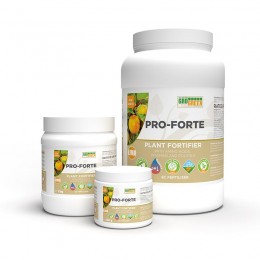 Про Форте Гель (Gel Pro-Forte) биостимулятор роста (GroGreen)