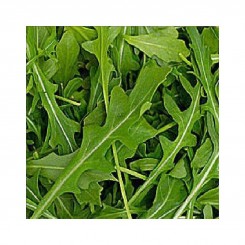 Грін Рокет насіння руколи (LibraSeeds)