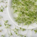 Салатный микс (3 урожая) набор для выращивания микрозеленый (Agrocity)