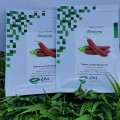 Шегеди 178 семян острого перца (Innova Seeds)
