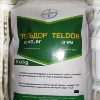 Фунгицид Тельдор.