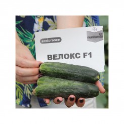 Велокс F1 семена партенокарпического огурца (Nunhems)