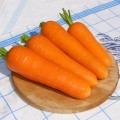 Виктория F1 (Victoria F1) семена моркови (Seminis)