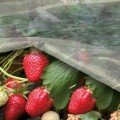 Агроволокно біле (23г/м2) (Agreen)