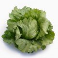 Айс Сіркл насіння салату тип Айсберг (Syngenta)