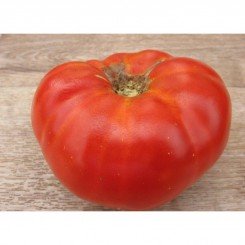Андріївський сюрприз насіння помідора індетермінантного (GL Seeds)