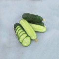 Азарт F1 насіння огірка партенокарпічного (Lucky Seed)