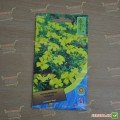 Чорнобривці розлогі низькі жовті (yellow) насіння (Moravoseed)