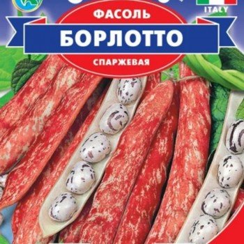 Борлотто насіння квасолі спаржевої та овочевої кущової ранньої (GL Seeds)
