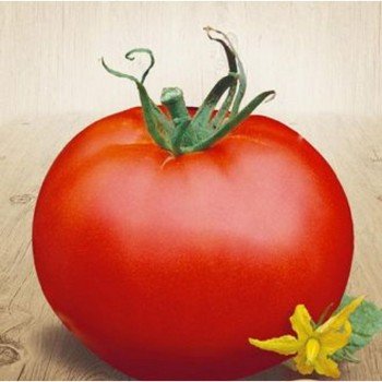 Джина семена томата детерминантного (ТМ Вкусный)