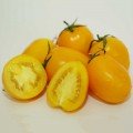 Елоу Ривер F1 семена помидора детерминантного (United Genetics)