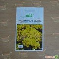 Гірське золото насіння аліссума (Hem Zaden)