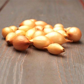 Контадо (10-21 мм) сеянка лука (TOP Onion Sets)