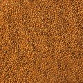 Корнет F1 семена капусты красноголовой (Lucky Seed)