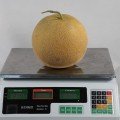 КС 810 F1 насіння дині (Kitano Seeds)
