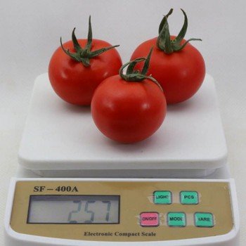 КС 134 F1 (KS 134 F1) семена помидора индетерминантного (Kitano Seeds)