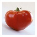 КС 204 F1 (KS 204 F1) семена томата индетерминантного (Kitano Seeds)