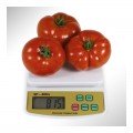 КС 204 F1 (KS 204 F1) семена томата индетерминантного (Kitano Seeds)