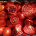 КС 204 F1 (KS 204 F1) насіння томату індетермінантного (Kitano Seeds)