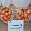 Міссісіпі F1 насіння цибулі ріпчастої жовтої (Seminis)