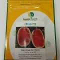 Монро F1 насіння кавуна ультрараннього (Innova Seeds)