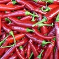 Палоташ F1 насіння перцю солодкого (ZKI)