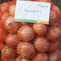 Пантер F1 семена лука озимого репчатого (Hazera)