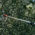 Пила із секатором без ручки V-SERIES-P, KT-V1521HS (Bradas)