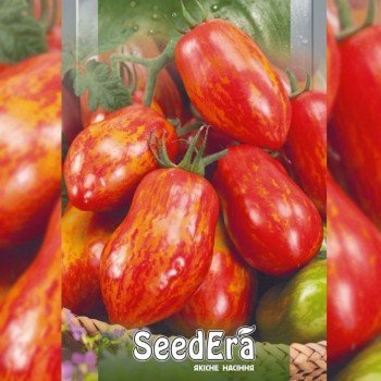 Смугаста вершка насіння помідора індетермінантного (Seedera)