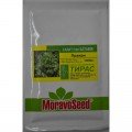 Пряжа семян салата тип Батавия (Moravoseed)