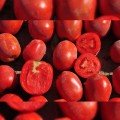 Рекордсмен F1 насіння помідора детермінантного (LibraSeeds)