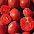Рекордсмен F1 насіння помідора детермінантного (LibraSeeds)