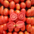 Рекордсмен F1 насіння помідора детермінантного (LibraSeeds)