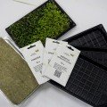 Салатний мікс (3 урожаї) набір для вирощування мікрозелений (Agrocity)