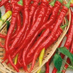 Сигарела насіння перцю солодкого (Насіння України)