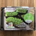 Вкусный набор для выращивания микрозеленые (World of Seeds)