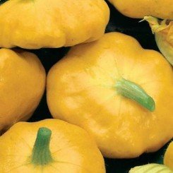 Сонечко насіння патисону (Насіння України)