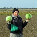 Супермаркет F1 (калибр.) семян капусты белокочанной (Lucky Seed)