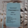 Трансфер F1 семена капусты белокочанной