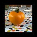 Еллоу Пешен F1 — семена томата Spark Seeds