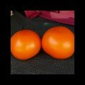 Еллоу Пешен F1 — семена томата Spark Seeds