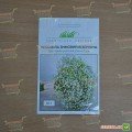 Зимний узор белые семена гипсофилы (Hem Zaden)
