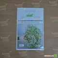 Зимний узор белые семена гипсофилы (Hem Zaden)