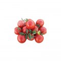 1015 F1 семена помидора детерминантного (Heinz/Lark Seeds)