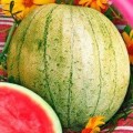 Цельнолистные семена арбуза раннего (Гелиос)