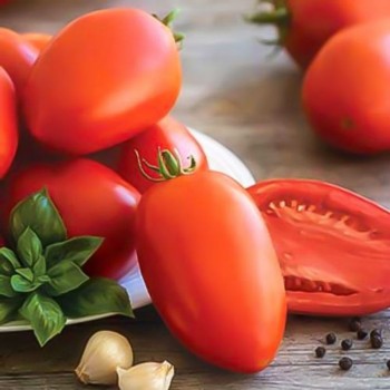 Британский завтрак семян помидора детерминантного (GL Seeds)