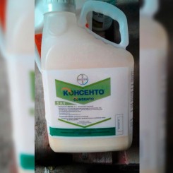 Фунгицид Консенто – Bayer